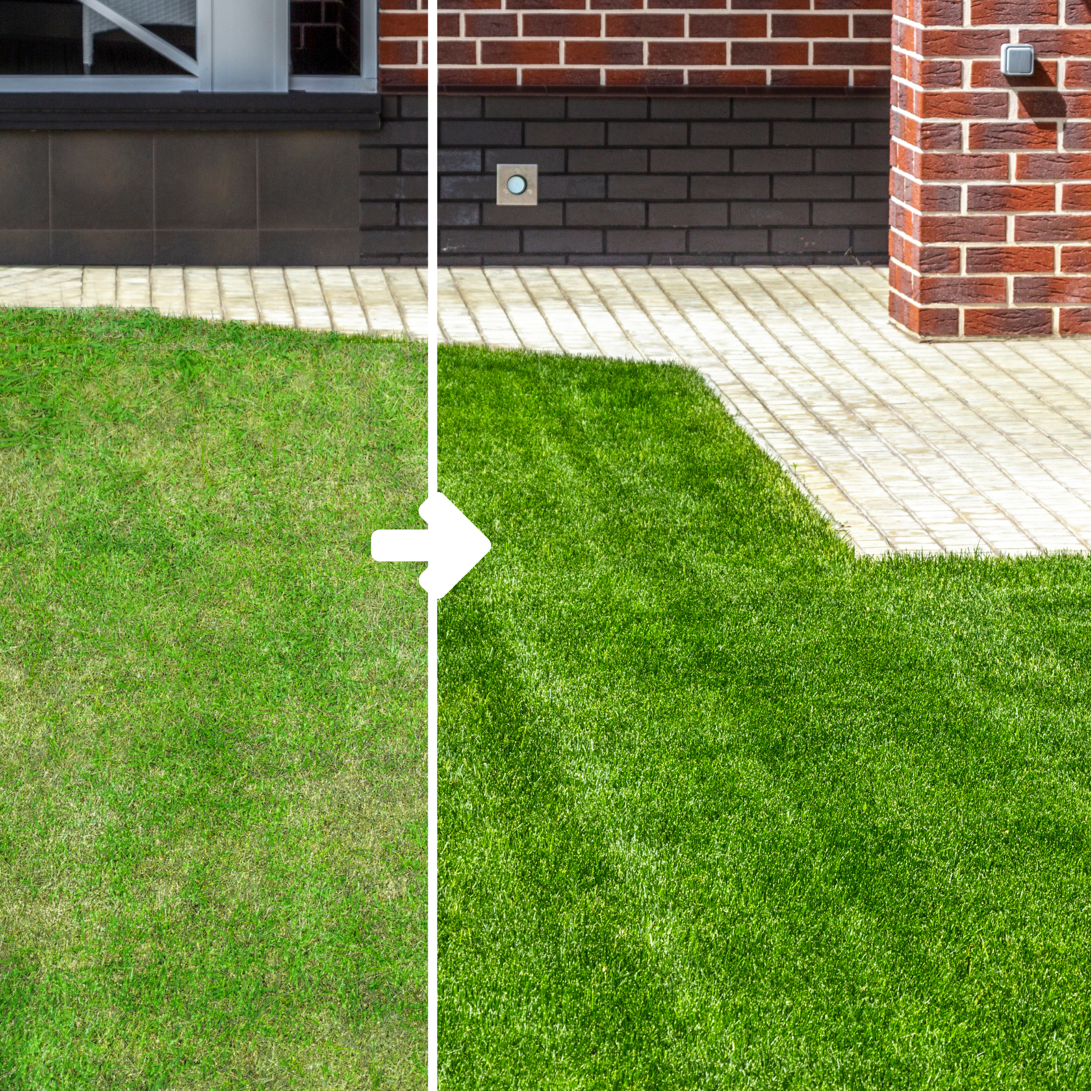 Green small lawn in backyard. Fertilizer for Canadian lawns that turn small spaces green.