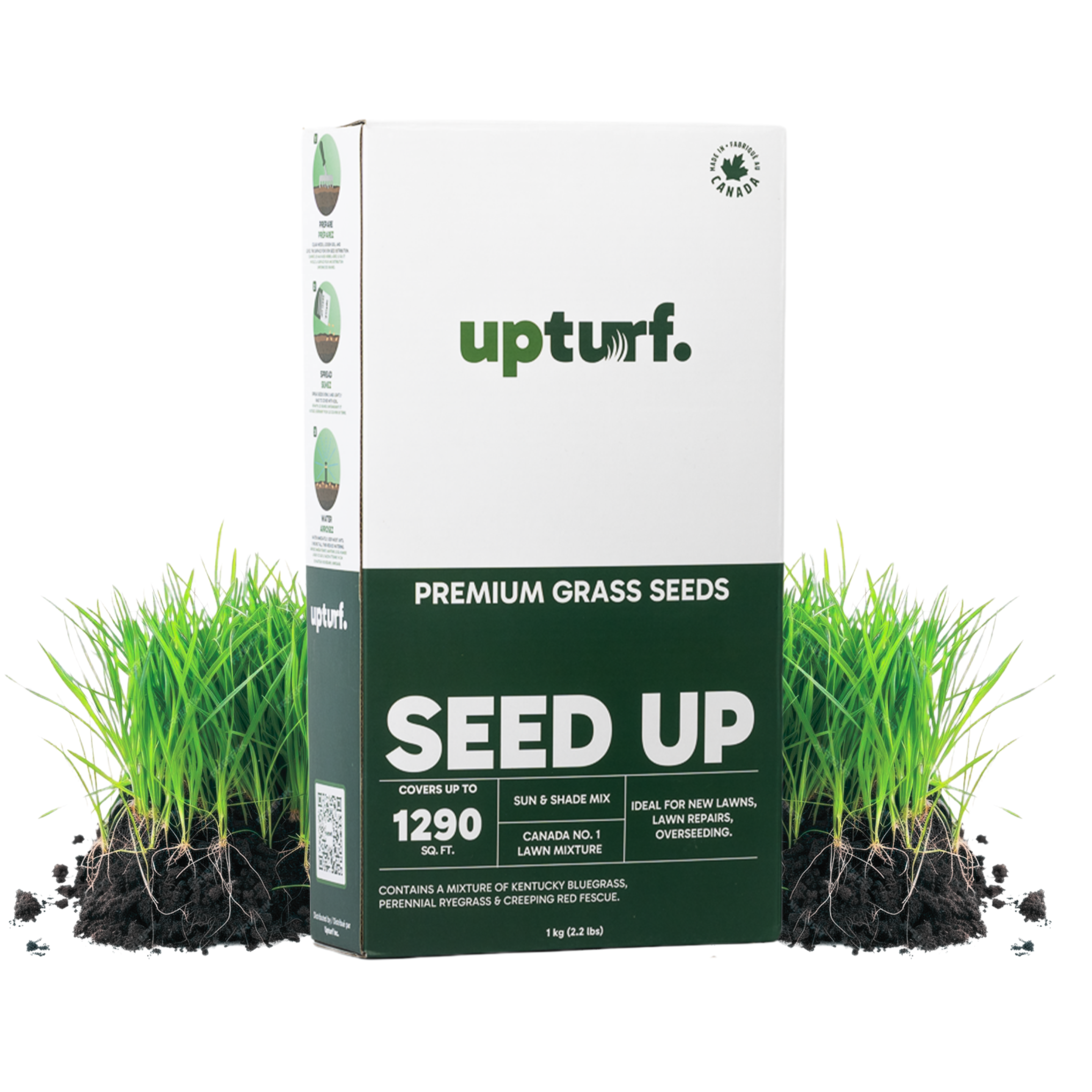 Seed Up | Premium Grass Seed for Lawns in Canada – Upturf
