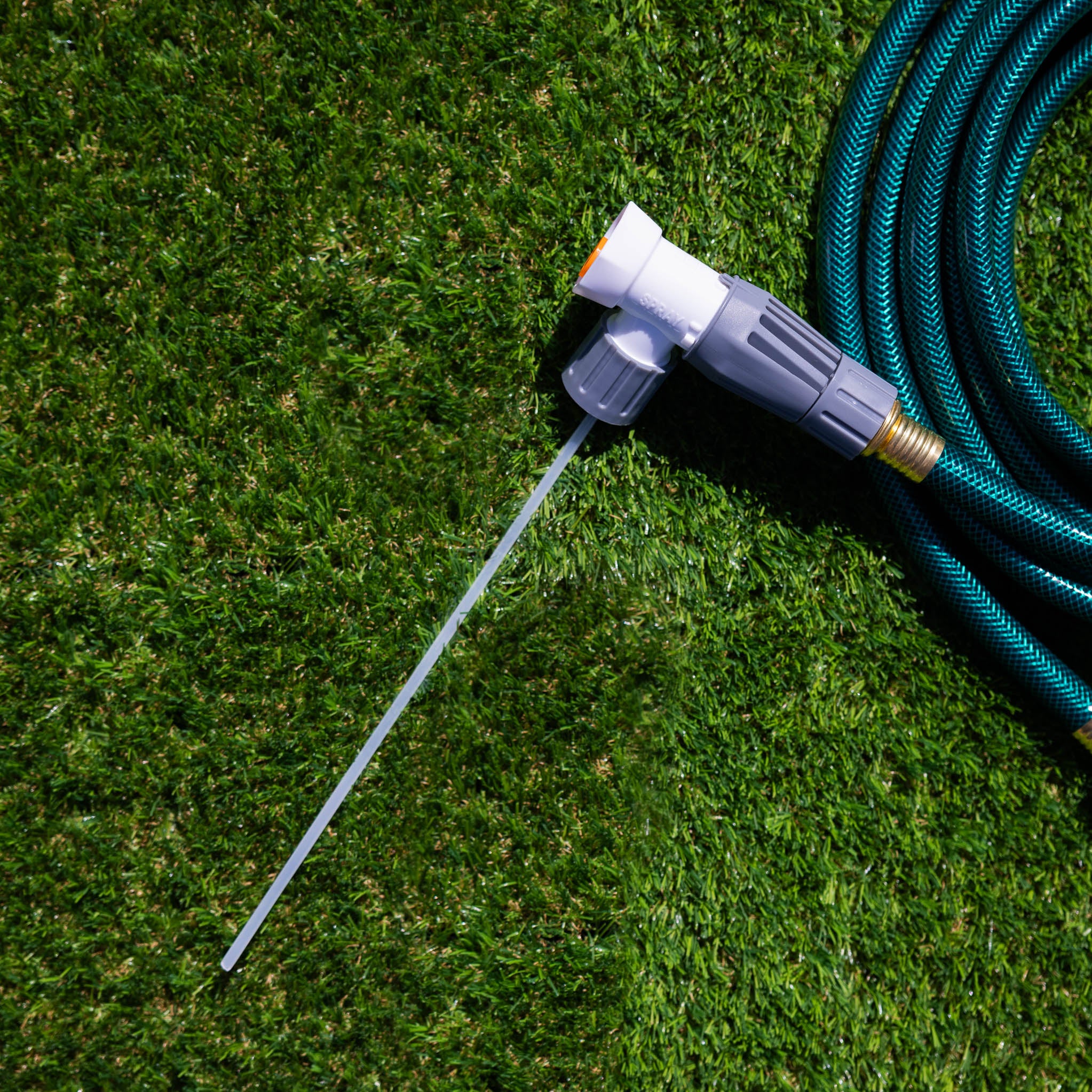 Kit Printanier Bio - Lot de 2